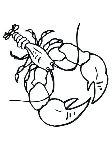 Crawdad Drawing | Free download on ClipArtMag