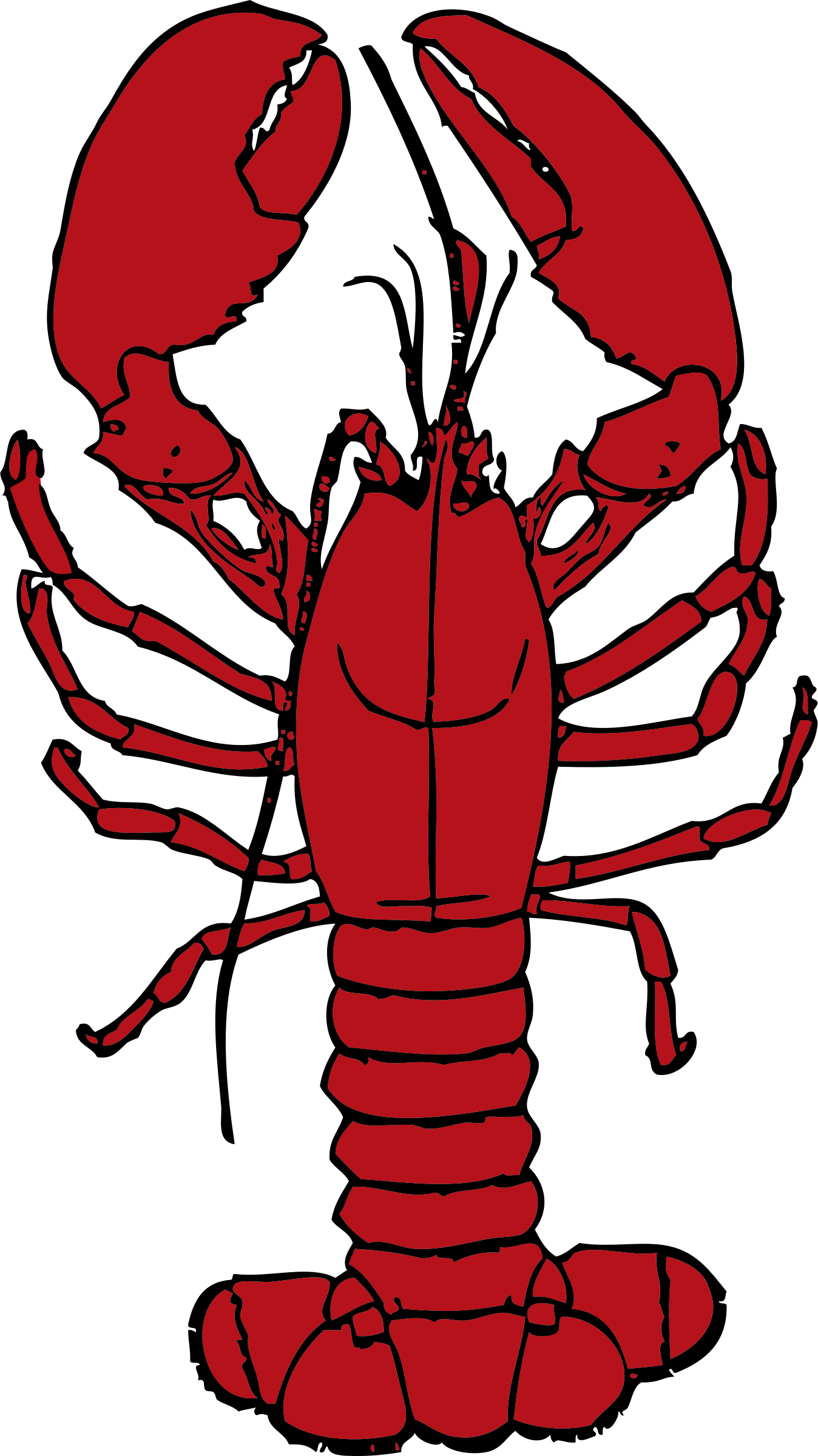 1348x2400 Collection Of Free Crawfish Drawing Realistic Download On Ui Ex