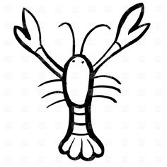 Crawfish Drawing