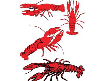 340x270 Crawfish Png Etsy