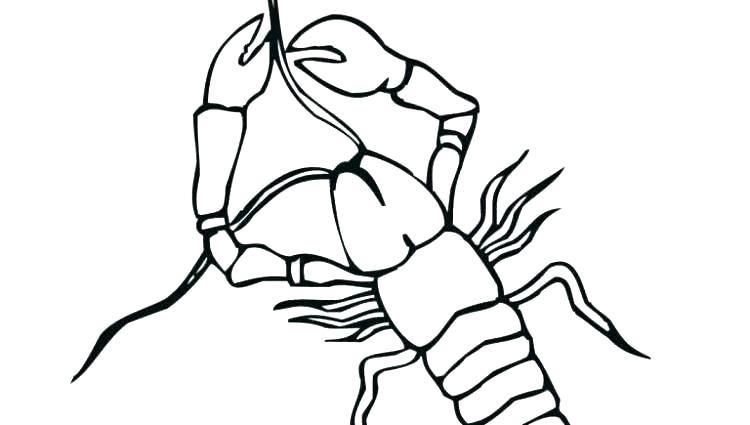 750x425 Crayfish Coloring
