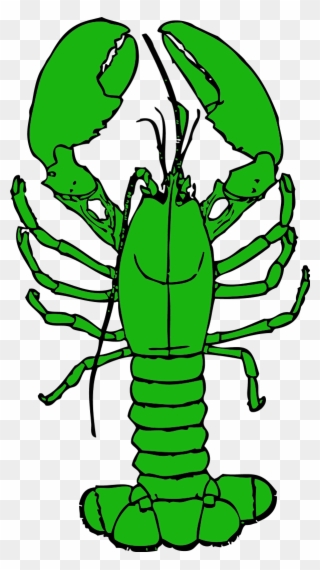 320x570 Crayfish Drawing Louisiana Crawfish Clip Art Png Download