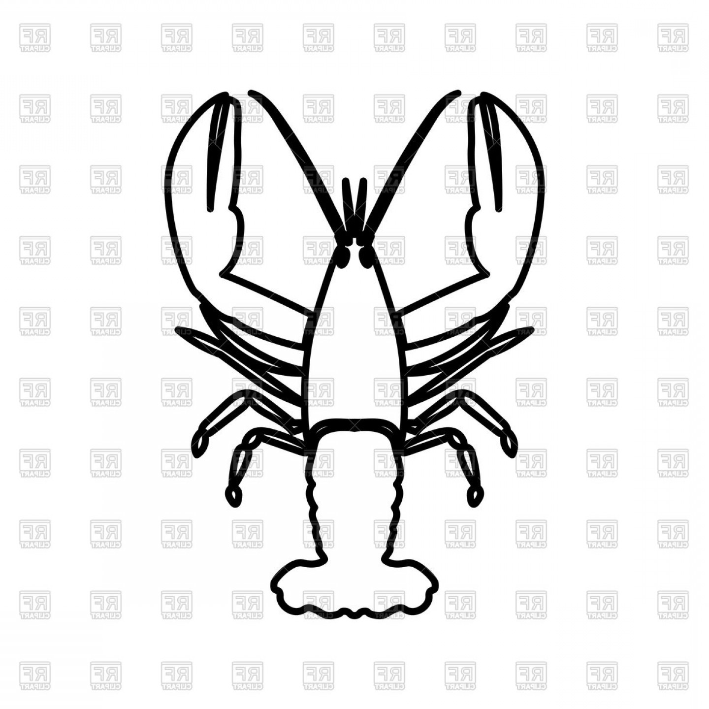 1440x1440 Rawfish Or Crayfish Outline On White Background Vector Clipart