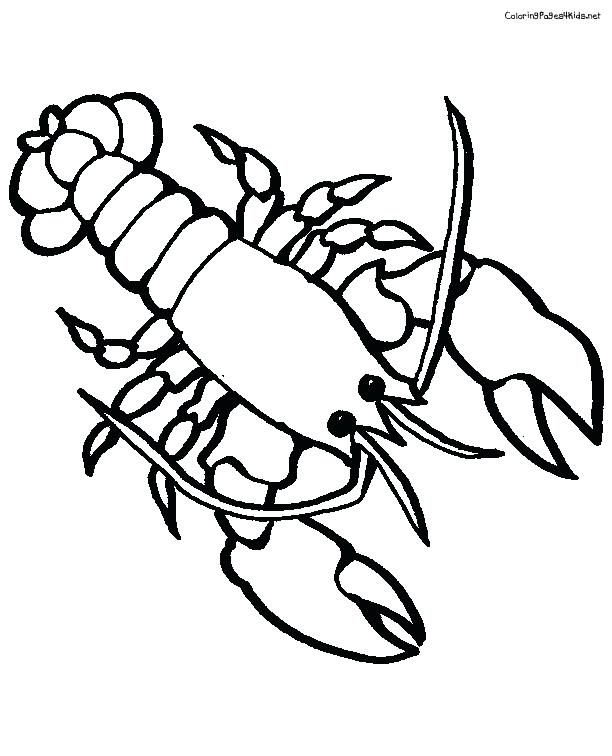 612x756 Sea Creature Templates Printable Crafts Colouring Pages Crayfish