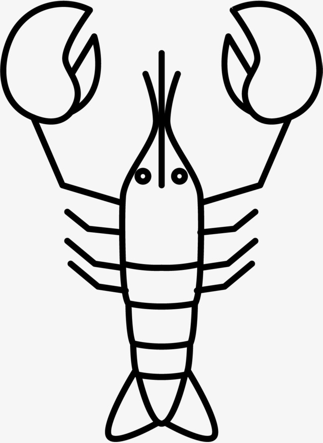Crayfish Drawing