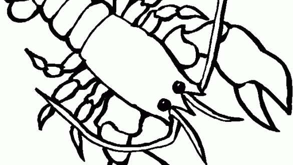 585x329 Crayfish Coloring