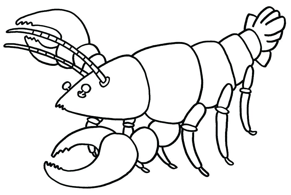 940x631 Crayfish Coloring