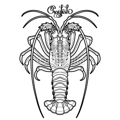 400x400 graphic vector crayfish buy photos ap images detailview