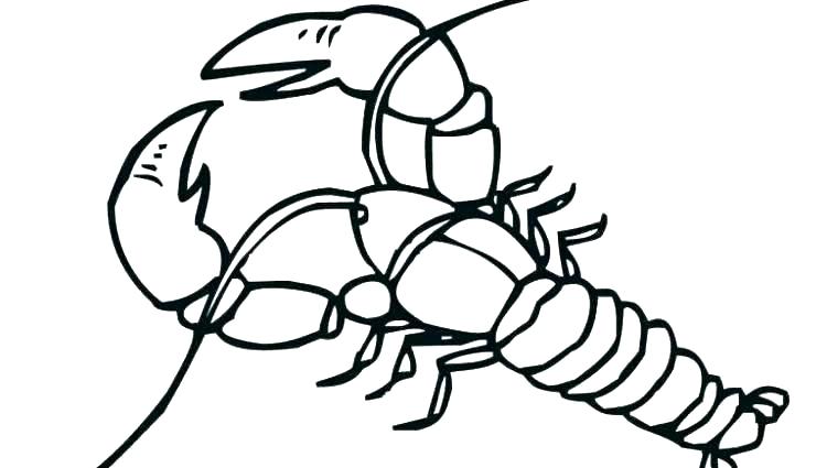 750x425 Lobster Coloring