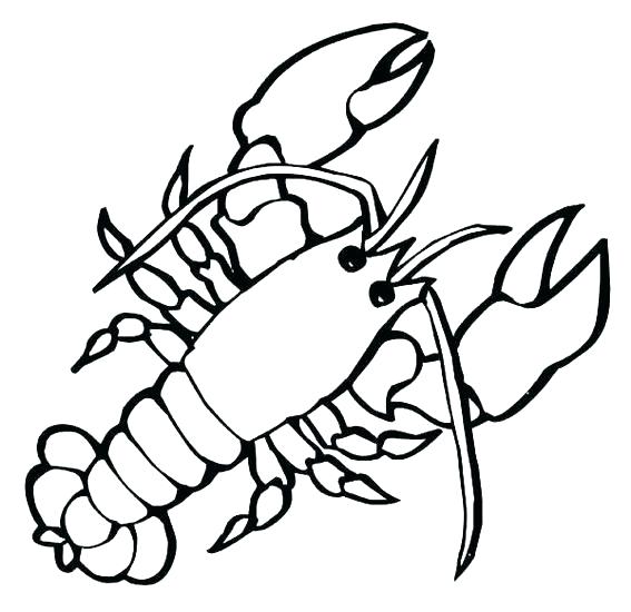 567x550 Lobster Coloring