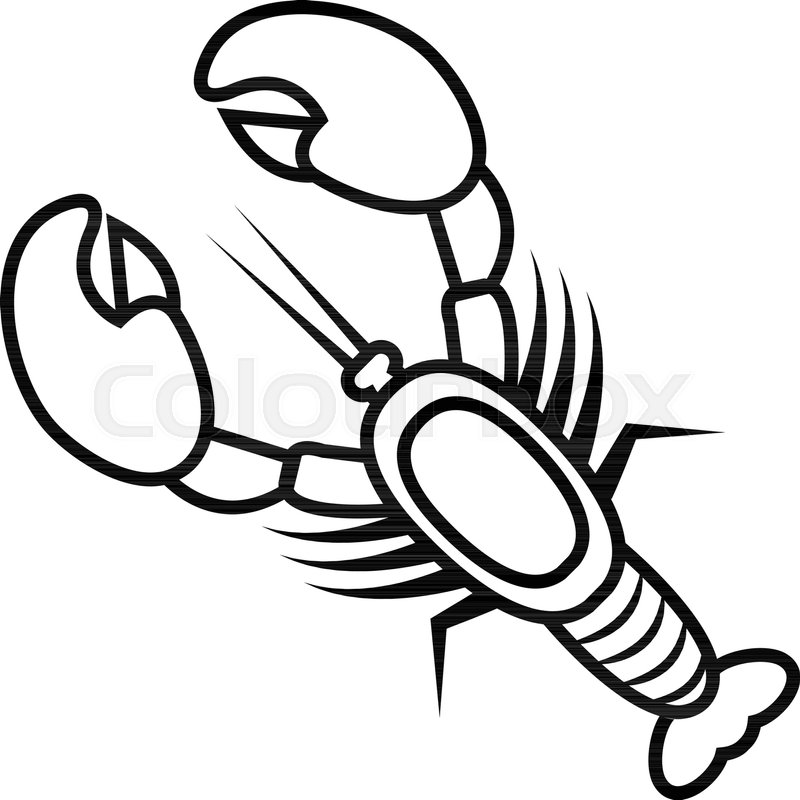 800x800 Lobster Icon Outline Illustration Of Stock Vector Colourbox