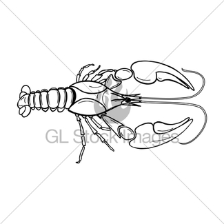 325x325 Vector Crayfish Zodiac Sign Cancer, Hand Drawing Cancer Gl