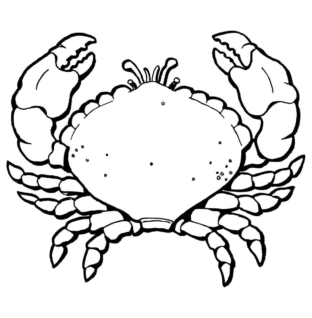 1200x1224 Crawfish Color Sheet Drawing At Getdrawings Com Free For Personal
