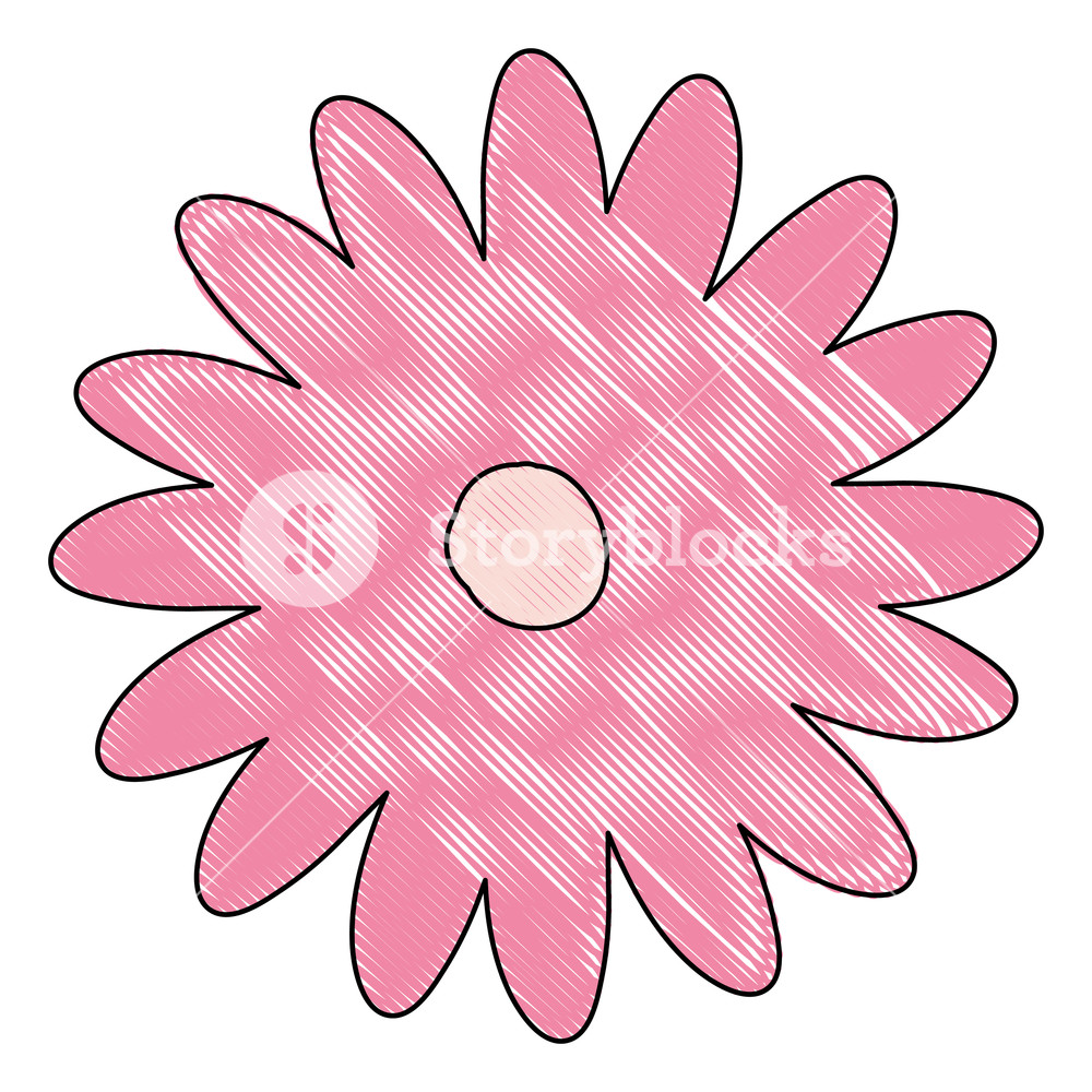1000x1000 Crayon Silhouette Of Hand Drawing Pink Color Daisy Flower