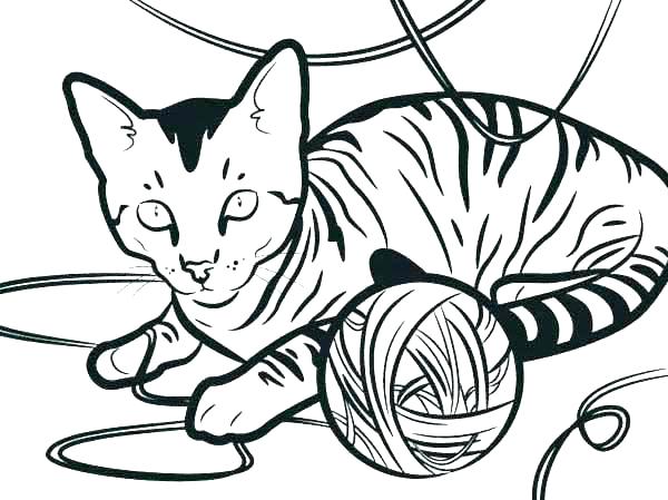 600x449 Crazy Cat Coloring Pages For Adults Craft Sheets Hair Hat Day