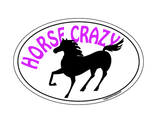 520x408 Horse Crazy Oval Magnet