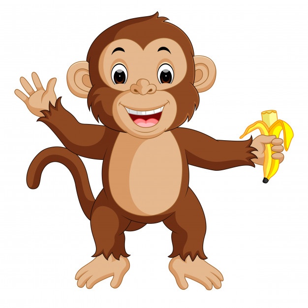 626x626 Monkey Vectors, Photos And Free Download