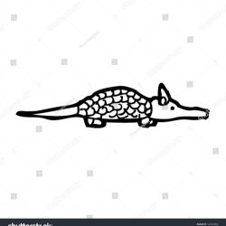 250x250 Armadillo Drawing Cute Tags Adam And Eve Coloring Pages Amazing