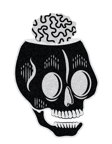 387x495 Anatomy Creative Co