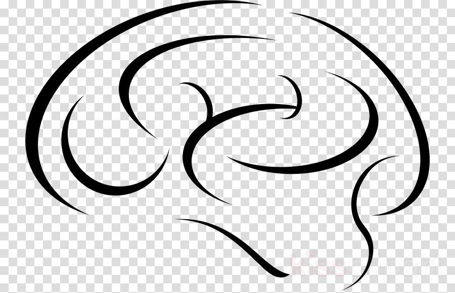 900x580 Brain, Drawing, White, Transparent Png Image Clipart Free Download