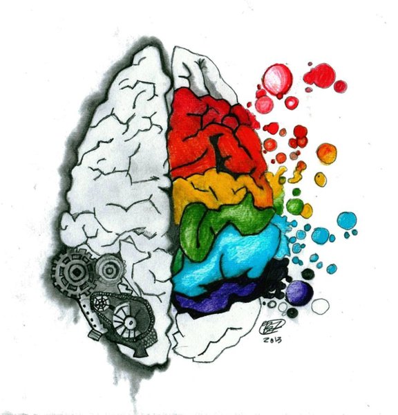 576x600 Creative Brain Drawing