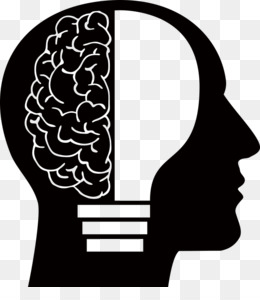 260x300 Creative Brain Png