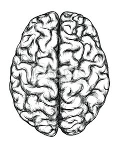 236x290 Inspiring Brain Drawing Images Brain Art, Drawings, Tattoo Ideas