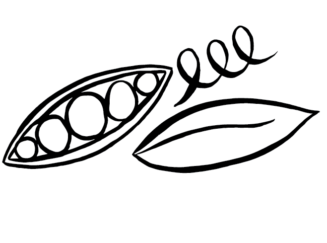 659x489 Lots Of Bampw Drawings For Tango Creative