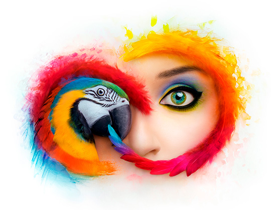 540x420 Adobe Creative Cloud