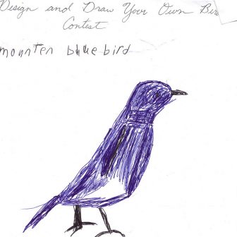 336x336 Bird Box Creature Drawings Reddit Funny Cartoon On Branch Cute