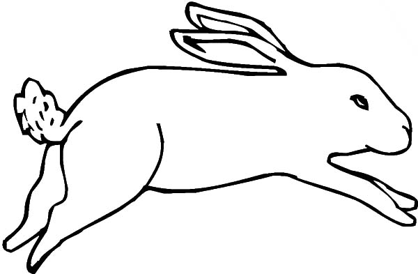600x393 Drawing Hopping Bunny Coloring Pages Kids Play Color