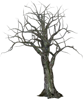 334x400 Drawing Creepy Tree Transparent Png Clipart Free Download