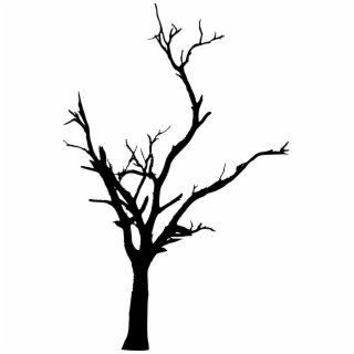 320x320 Hd Runescape Dead Tree Png Download