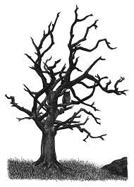 Creepy Dead Tree Drawing | Free download on ClipArtMag