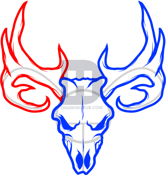 683x720 How To Draw A Deer Skull, Deer Skull Tattoo, Step