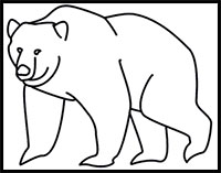 200x157 How To Draw Bears Drawing Tutorials Drawing How To Draw