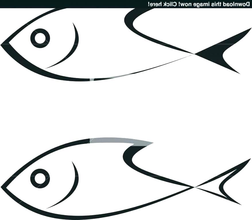 878x767 Simple Clown Drawing How To Draw Clown Fish Step