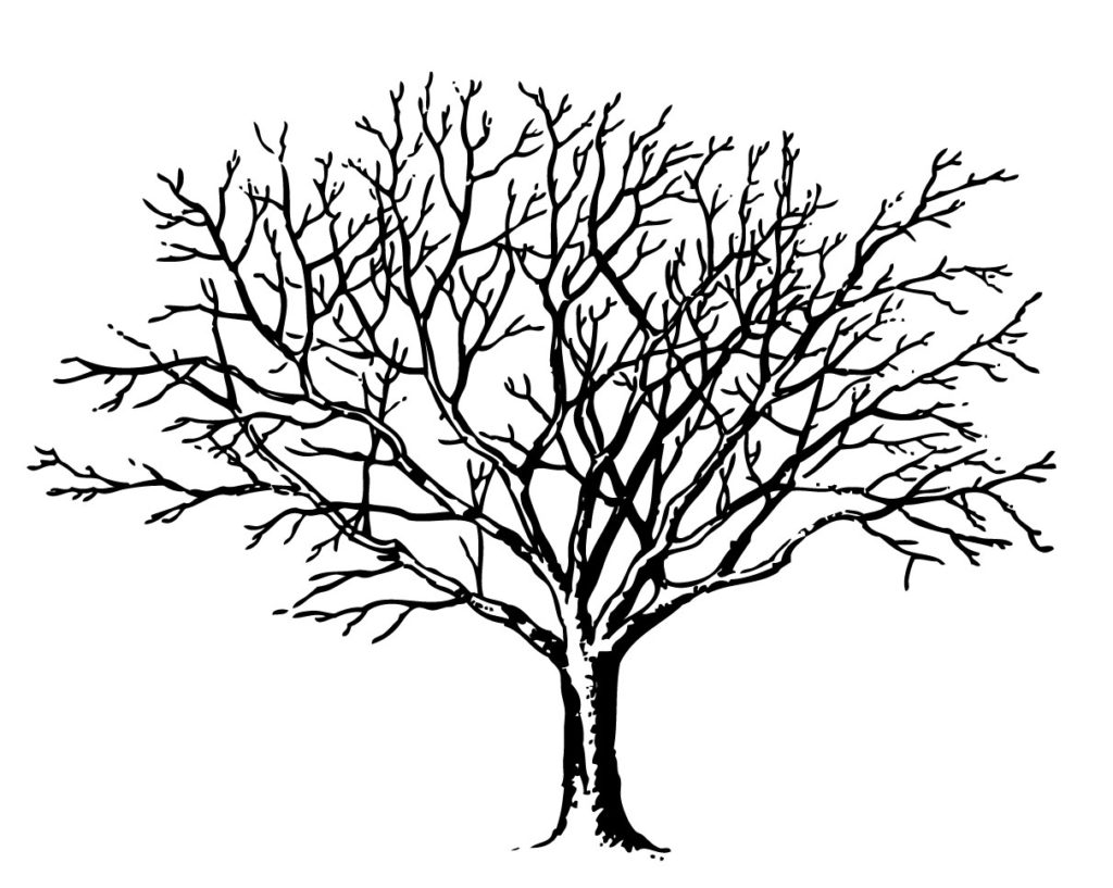1024x817 Spooky Tree Clipart Clip Art