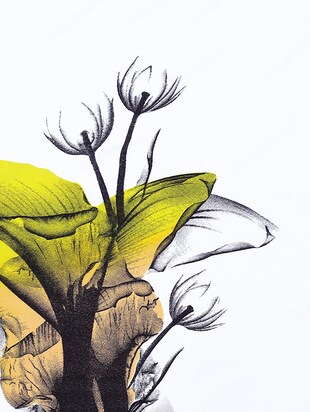 310x412 buy white and pink colour block crepe printed shift dress