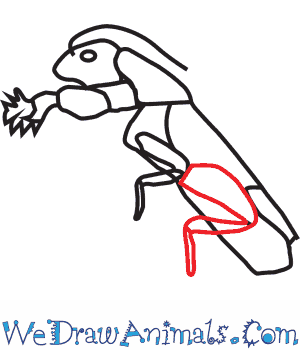 300x350 How To Draw A Mole Cricket