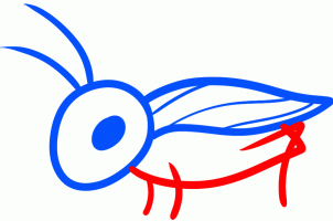 302x200 How To Draw How To Draw A Cricket For Kids