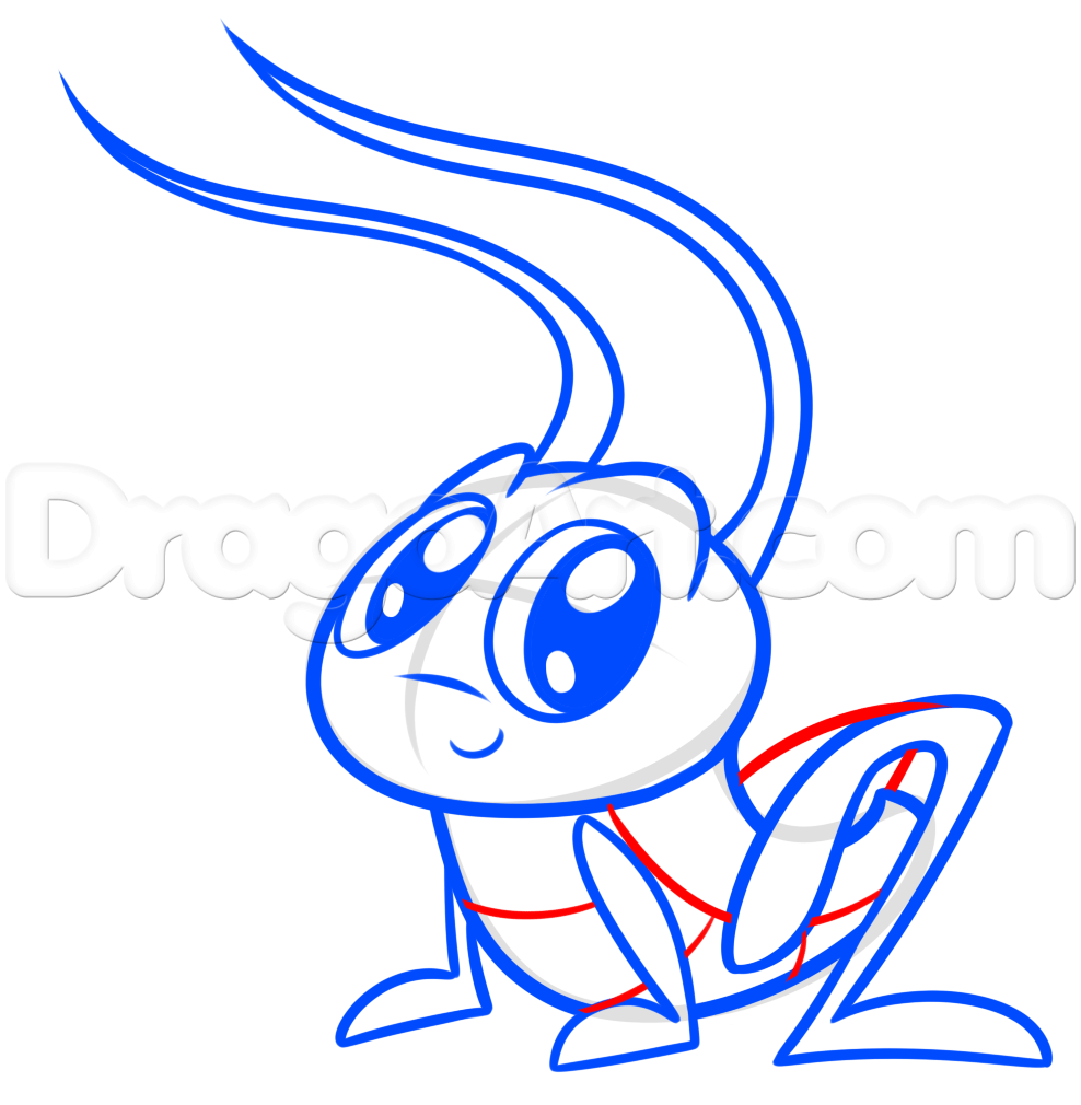 988x1010 Step Cartoon Cricket Drawing Tutorial