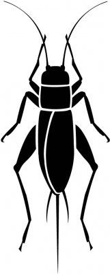 161x400 Cricket Tattoo Definitely,maybe Cerveza