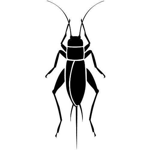 500x500 Black Cricket Insect Clipart