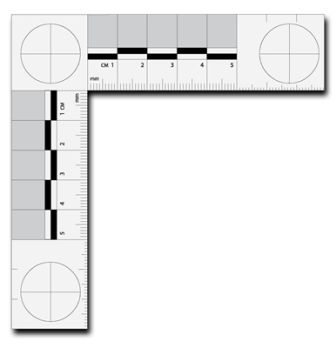 336x348 The Language Of Cops And Crime Scene Investigators