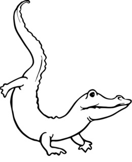 260x320 Crocodile, Frog, Transparent Png Image Clipart Free Download