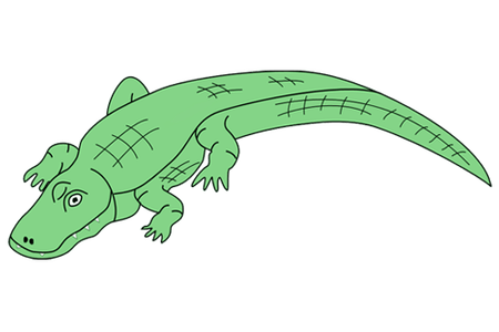 450x300 Drawing Footprints Alligator Transparent Png Clipart Free