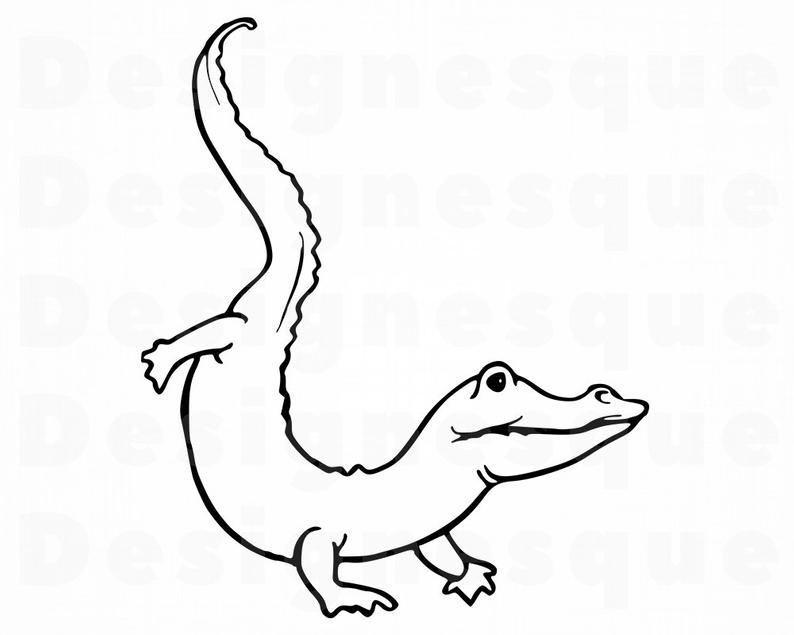 794x635 Huge Collection Of 'crocodile Outline Drawing' Download More Than