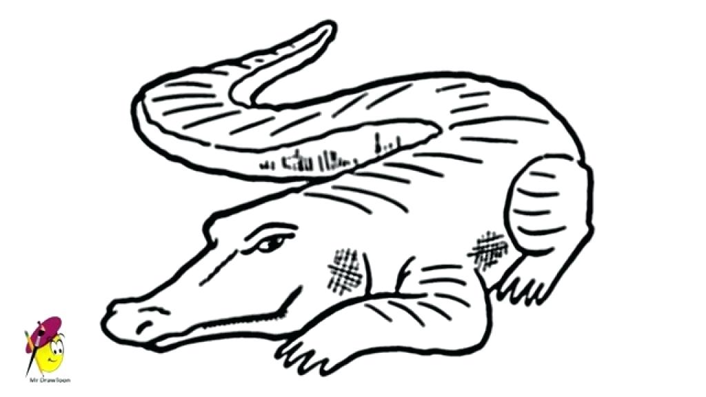 1024x576 Draw A Alligator