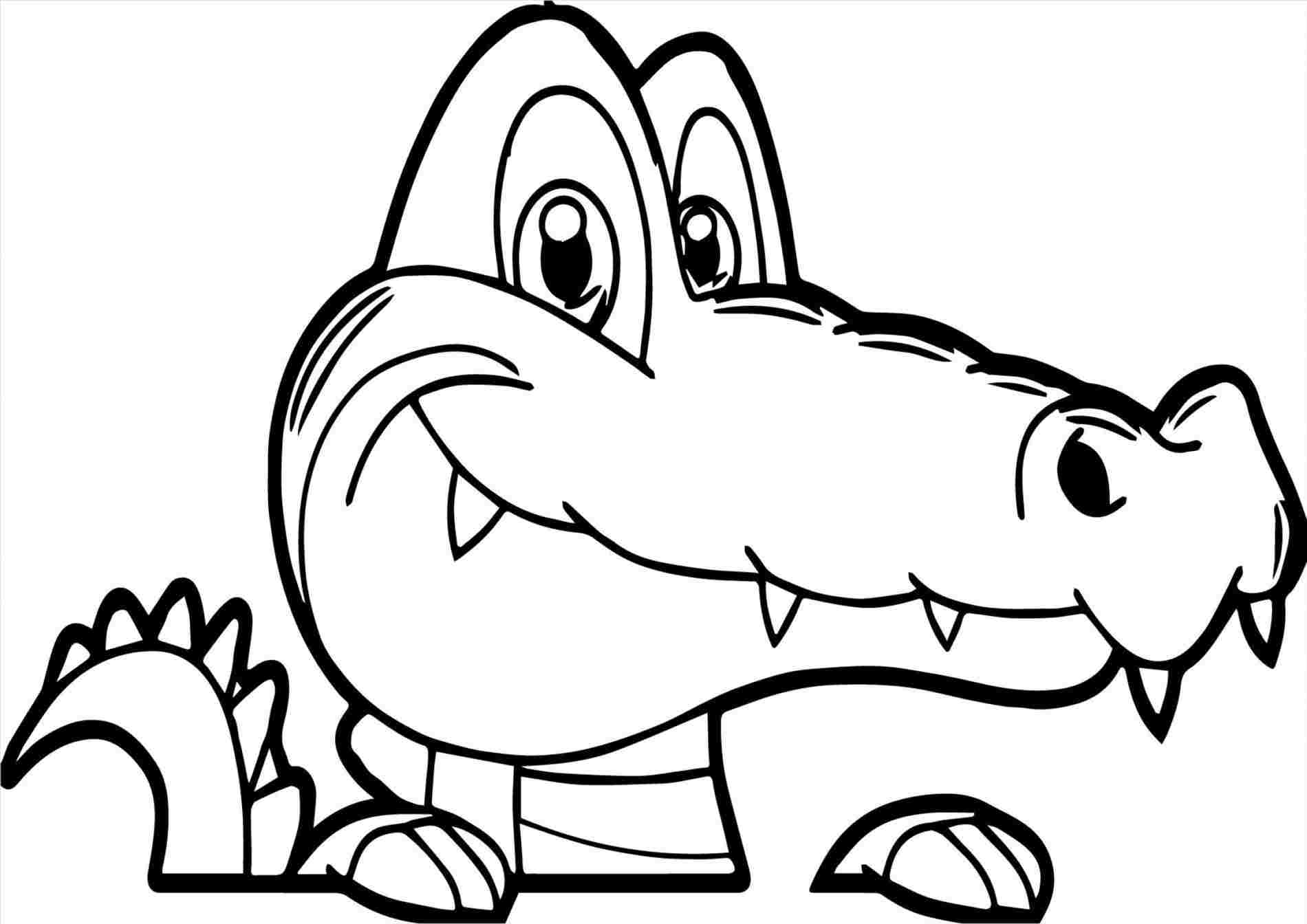 1900x1344 Easy To Draw Crocodile Cartoon